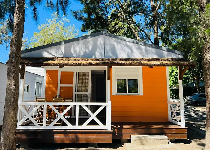 Camping Paloma