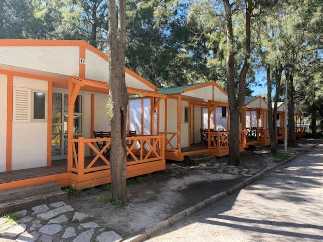 Paloma Camping