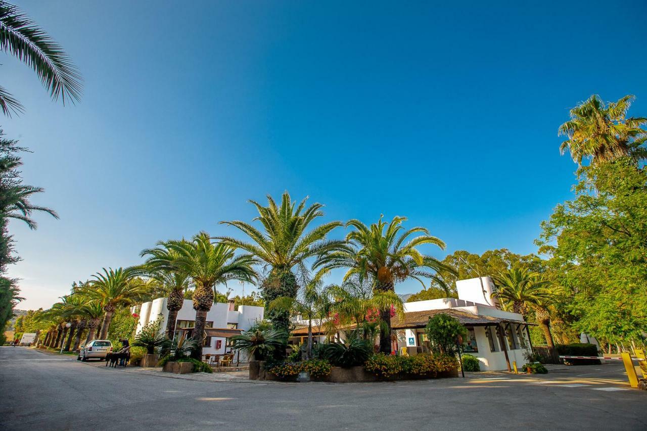 Paloma Tarifa